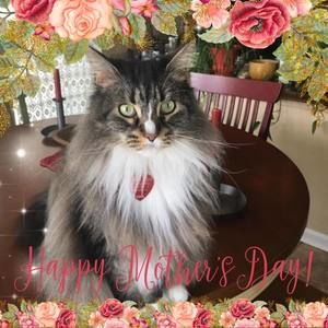 Meet your Posher, Karen